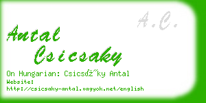 antal csicsaky business card